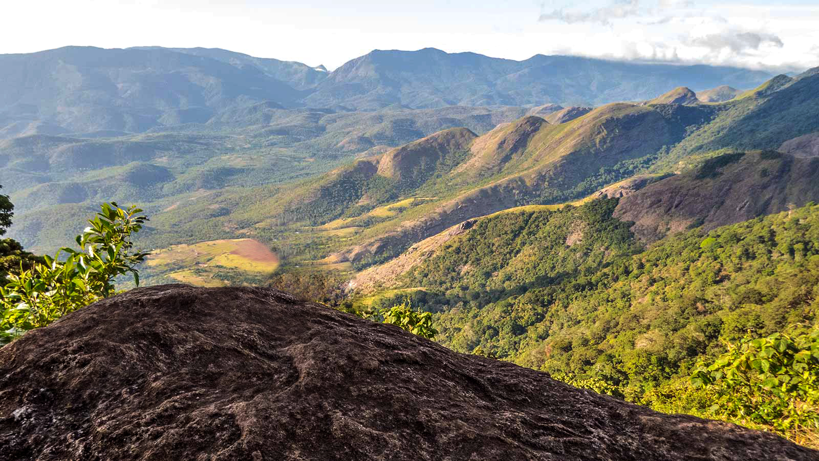 the High Wavy Mountains-Meghamalai