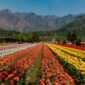 Chennai to srinagar tour package by rengha holidays